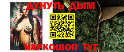 шишки Донской